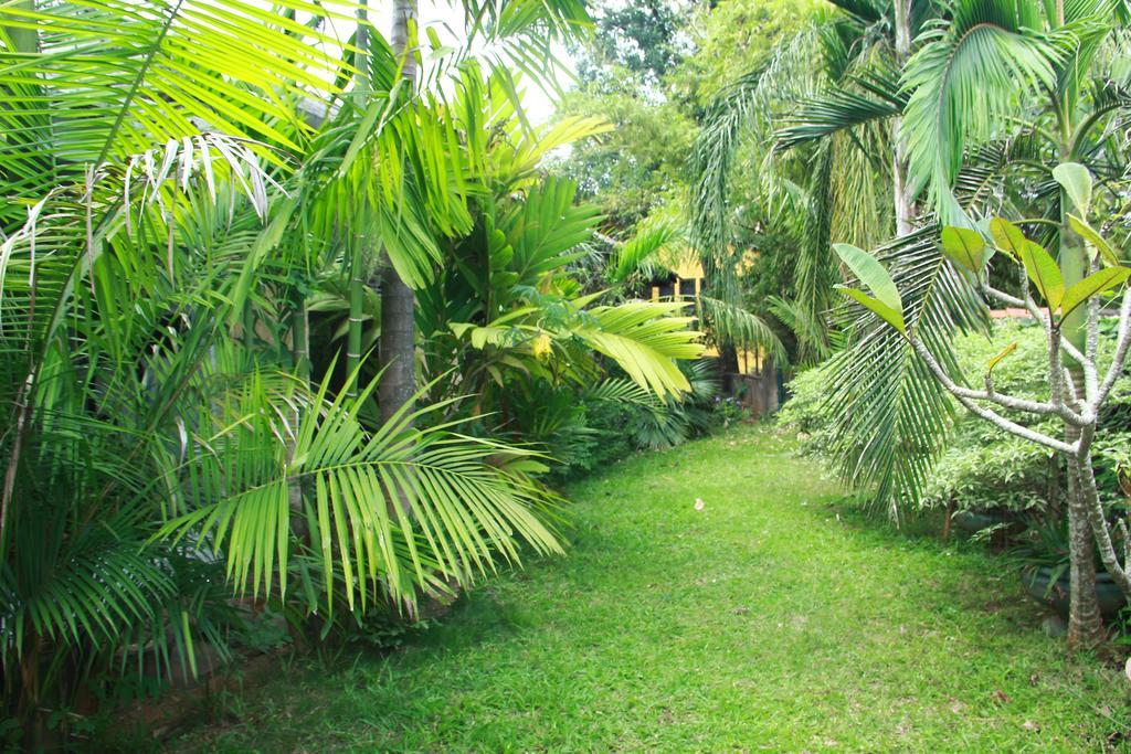 Traditional Kandyan House Luaran gambar